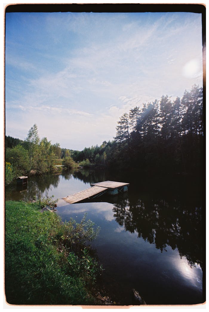 A peaceful lake scene featuring a wooden dock surrounded by lush trees under a clear sky.