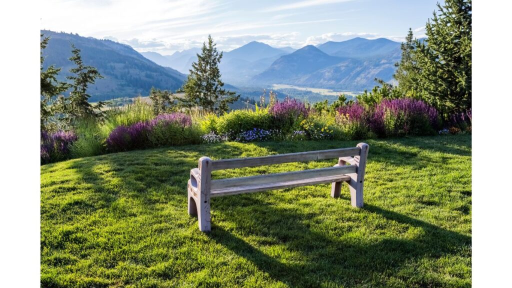 Retreat - empty bench overlooking nature